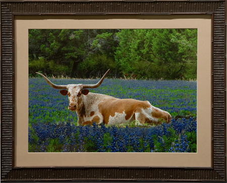 Wildflower Day in the Country by artist Randy Smith